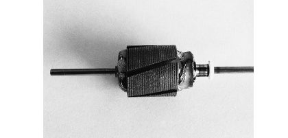Skewed rotor